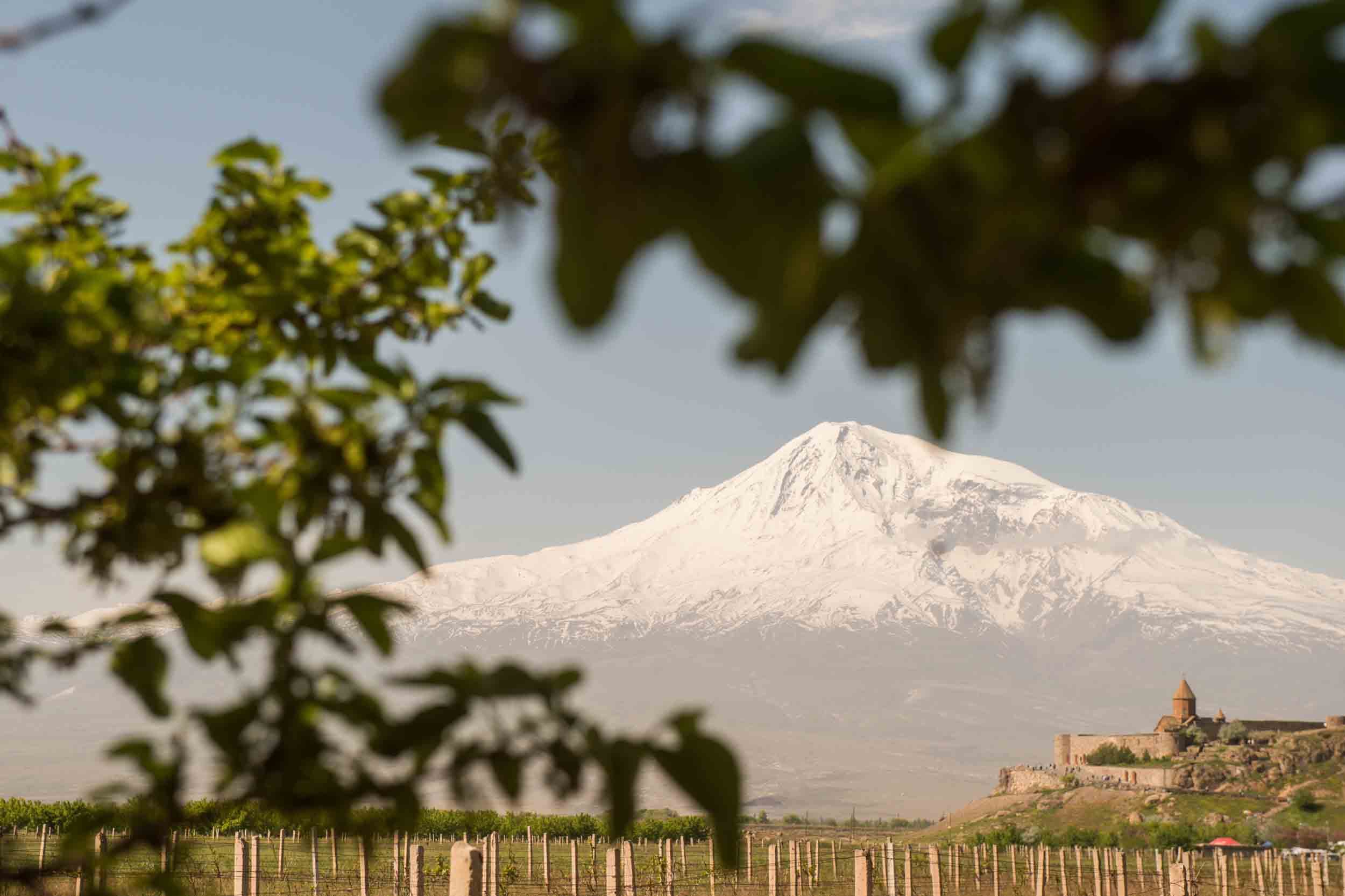 Բրավո Թրավել